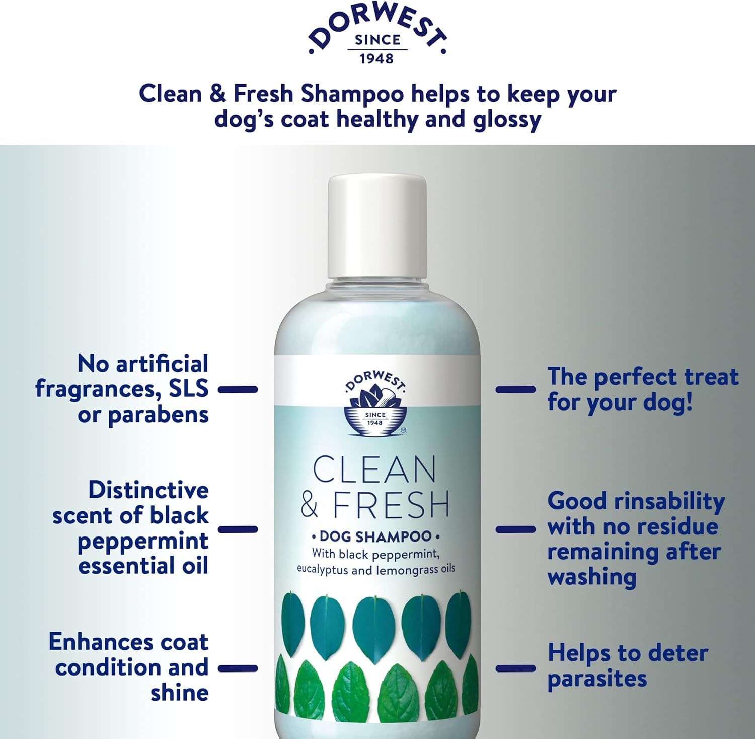 DORWEST Clean & Fresh Shampoo for Dogs, 250Ml, All-Natural Pet Shampoo – Sensiti