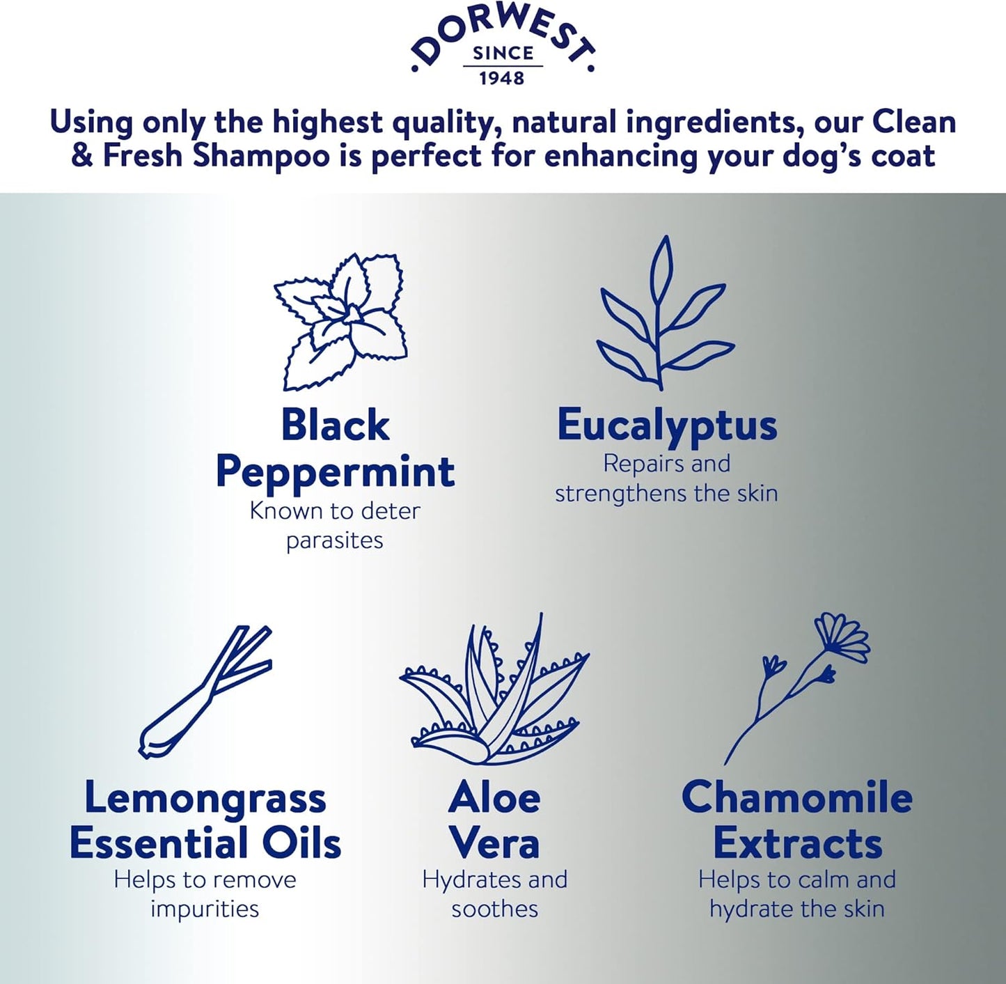 DORWEST Clean & Fresh Shampoo for Dogs, 250Ml, All-Natural Pet Shampoo – Sensiti