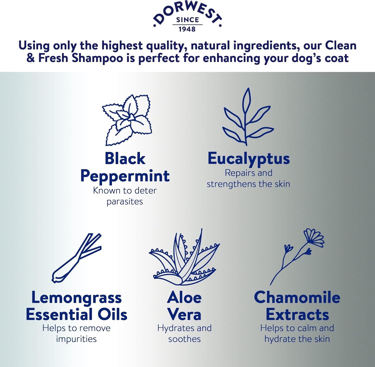 DORWEST Clean & Fresh Shampoo for Dogs, 250Ml, All-Natural Pet Shampoo – Sensiti