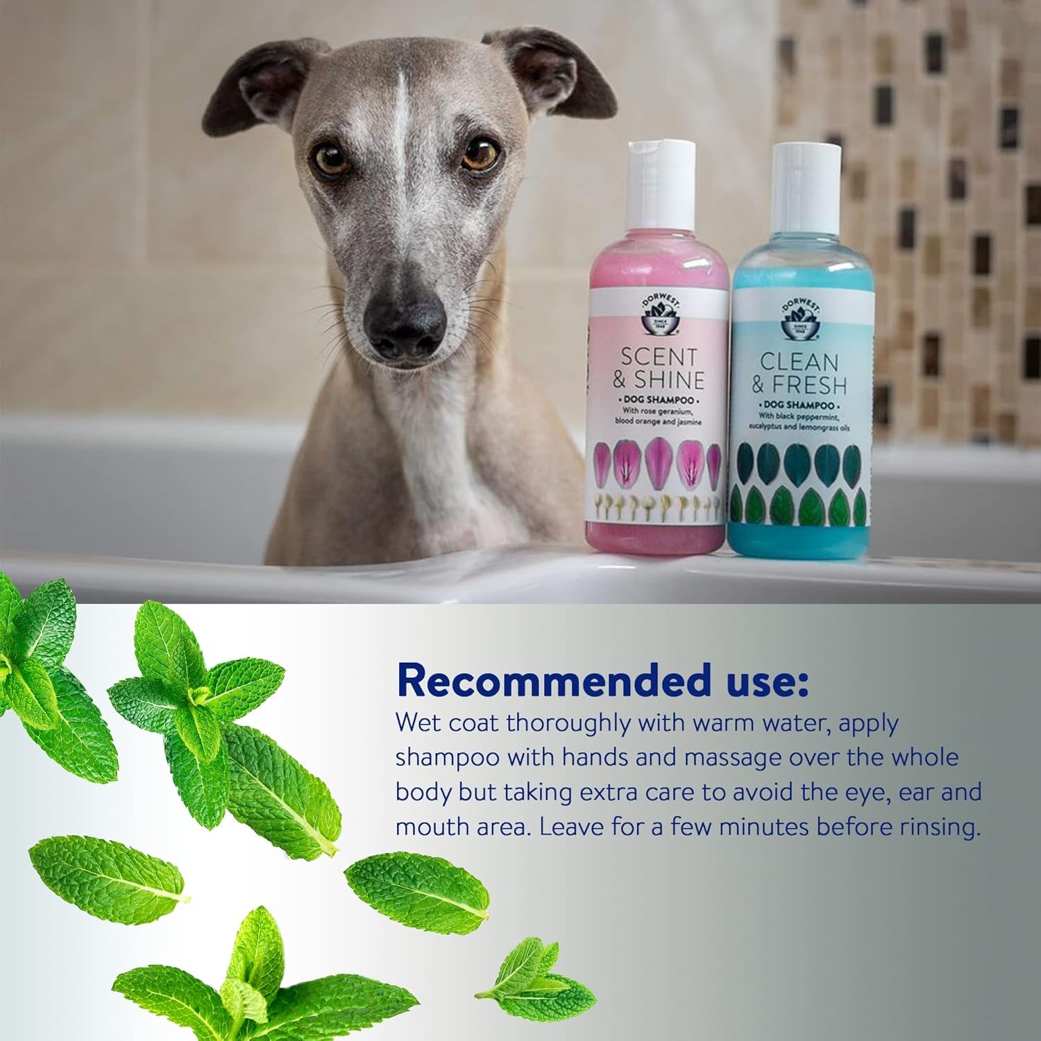 DORWEST Clean & Fresh Shampoo for Dogs, 250Ml, All-Natural Pet Shampoo – Sensiti