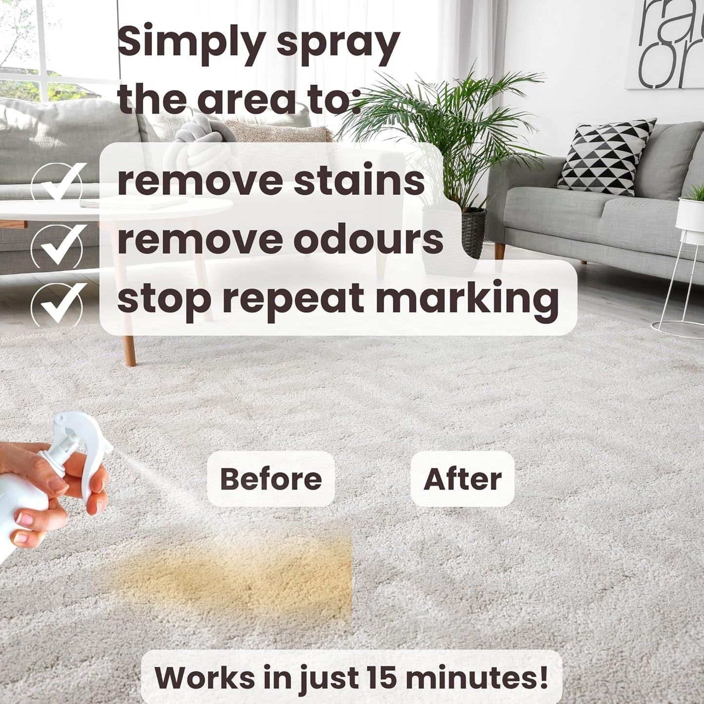 3-In-1 Pet Urine Enzyme Cleaner for Carpets, Furniture and Flooring, Removes Pee