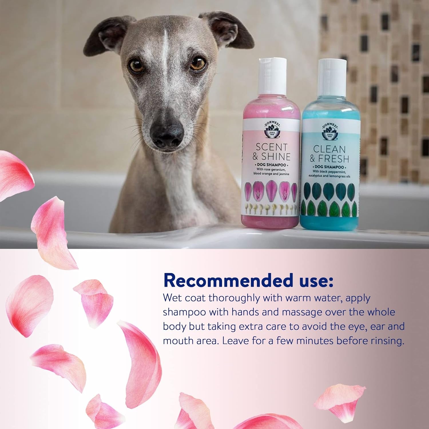 Dorwest Scent & Shine Dog Shampoo 500Ml, All-Natural Pet Shampoo – Hydrating, S