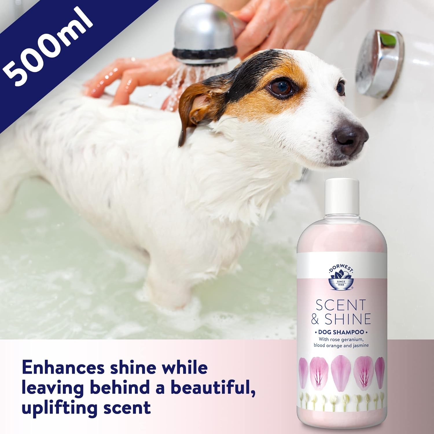 Dorwest Scent & Shine Dog Shampoo 500Ml, All-Natural Pet Shampoo – Hydrating, S
