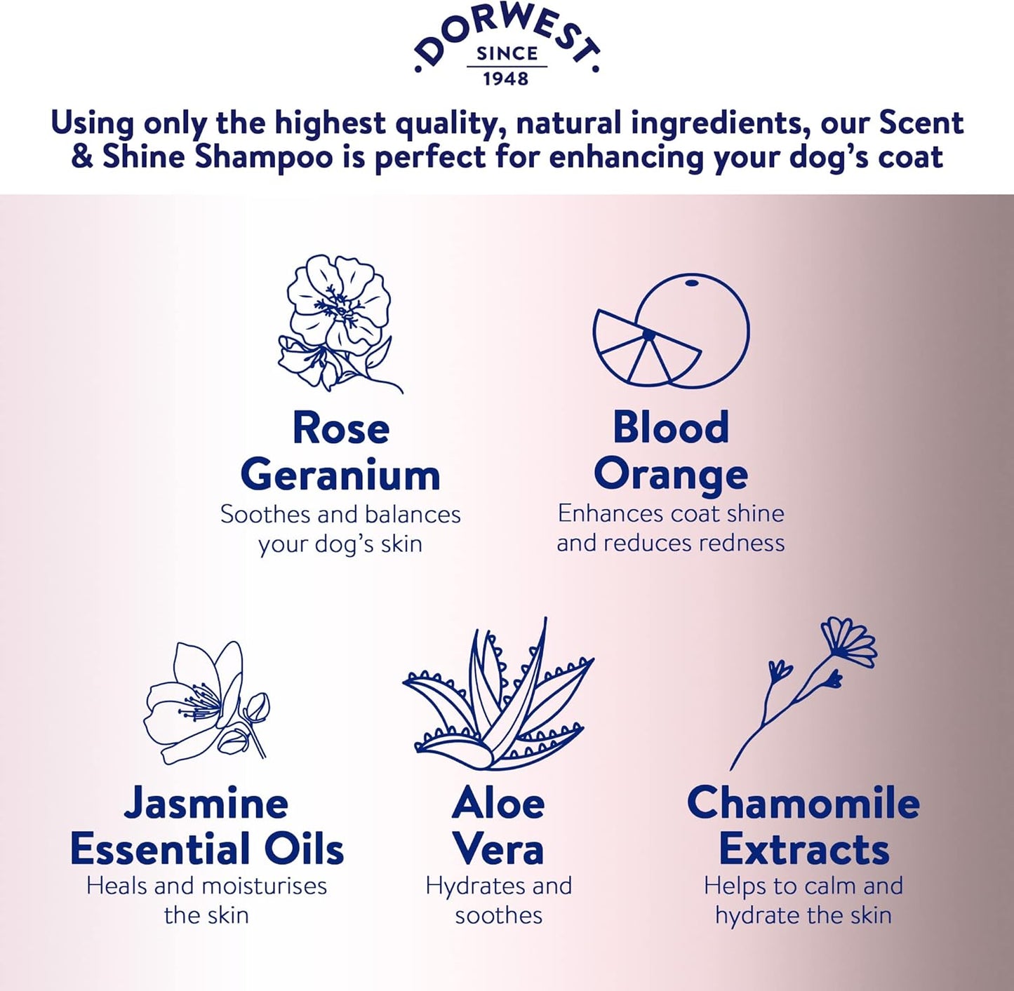 Dorwest Scent & Shine Dog Shampoo 500Ml, All-Natural Pet Shampoo – Hydrating, S
