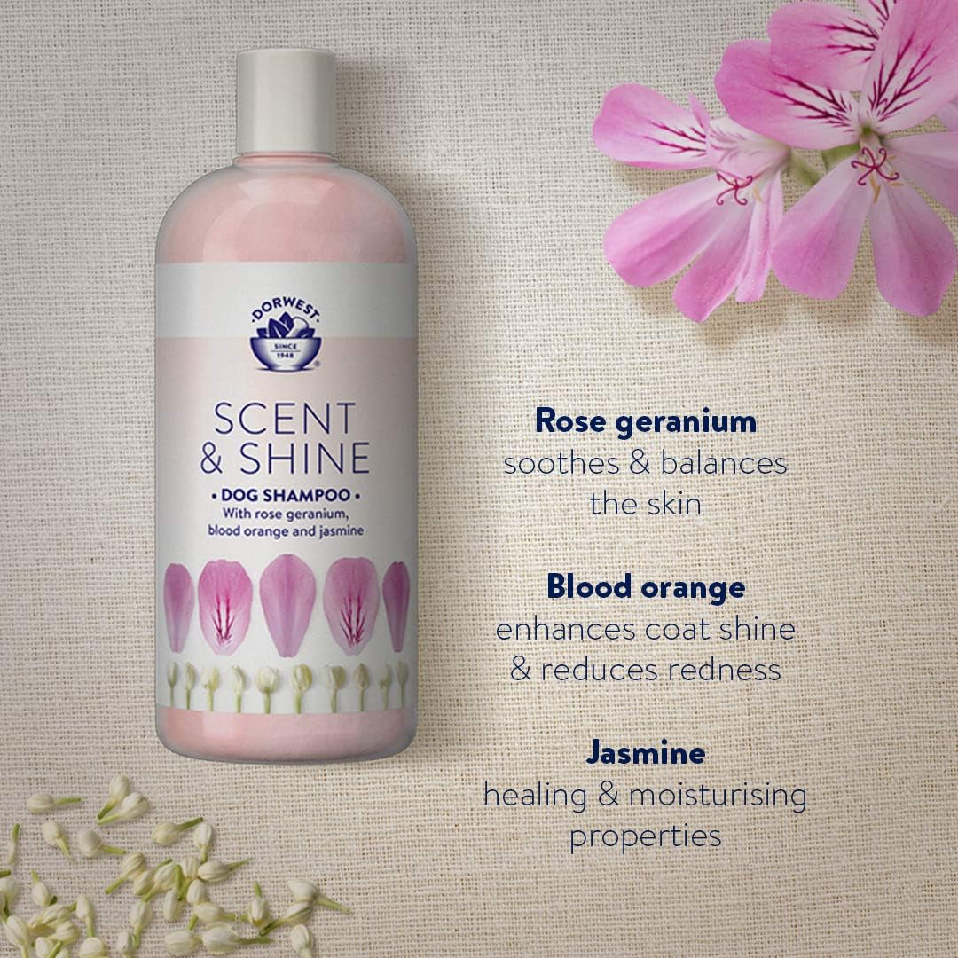 Dorwest Scent & Shine Dog Shampoo 500Ml, All-Natural Pet Shampoo – Hydrating, S