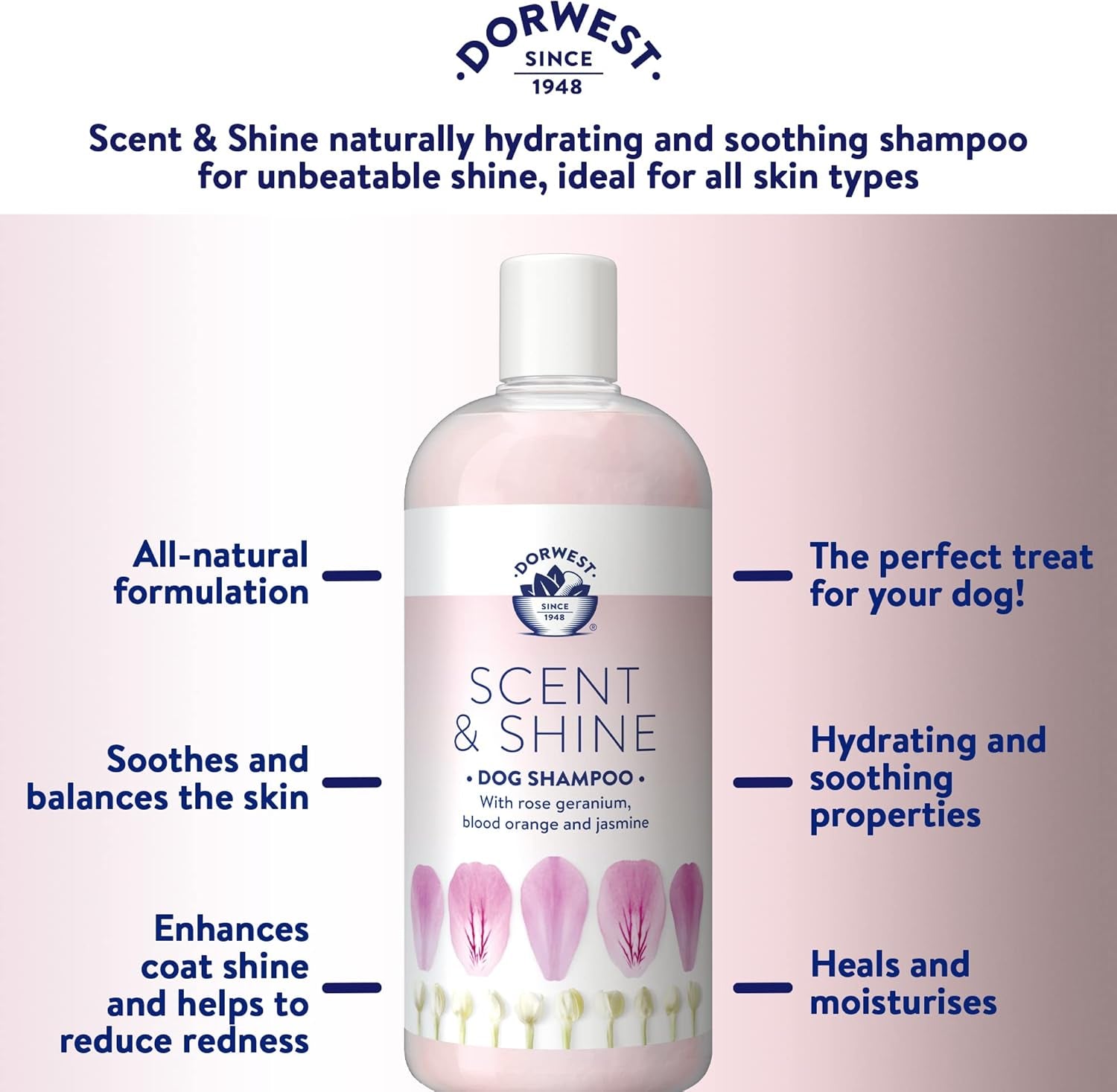 Dorwest Scent & Shine Dog Shampoo 500Ml, All-Natural Pet Shampoo – Hydrating, S