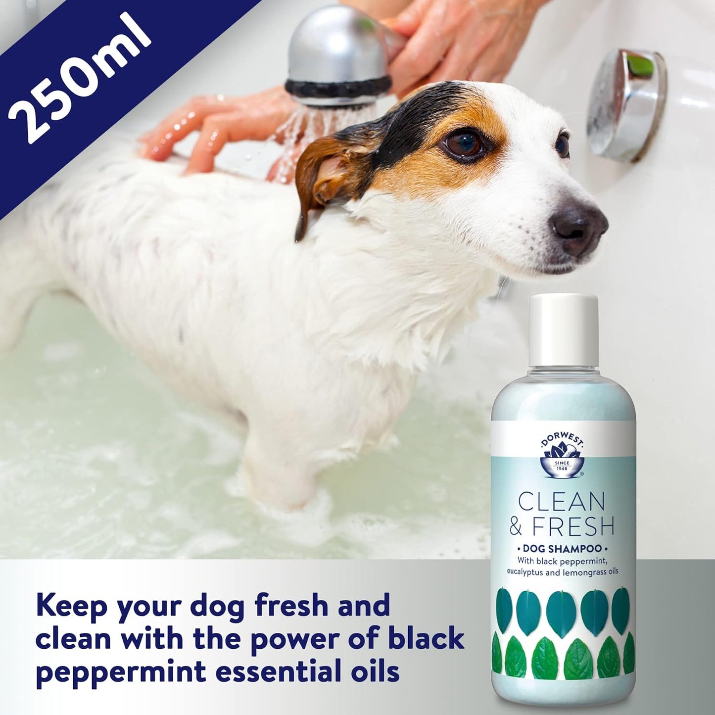 DORWEST Clean & Fresh Shampoo for Dogs, 250Ml, All-Natural Pet Shampoo – Sensiti