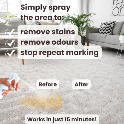 3-In-1 Pet Urine Enzyme Cleaner for Carpets, Furniture and Flooring, Removes Pee