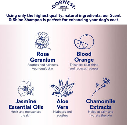 Dorwest Scent & Shine Dog Shampoo 500Ml, All-Natural Pet Shampoo ­– Hydrating, S
